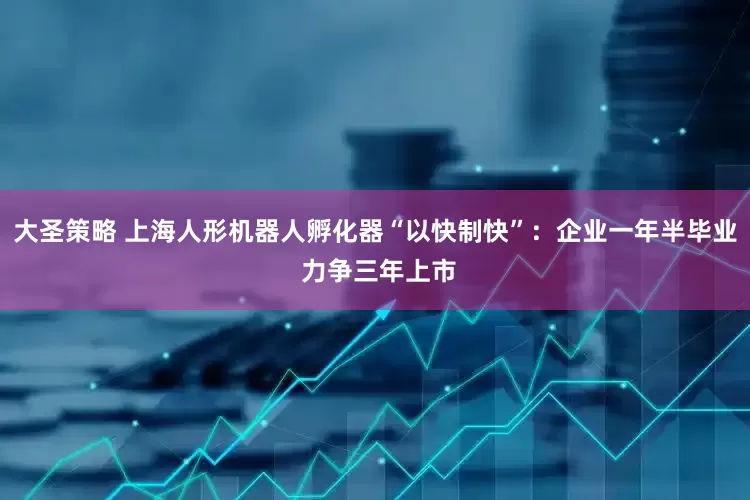 大圣策略 上海人形机器人孵化器“以快制快”：企业一年半毕业 力争三年上市