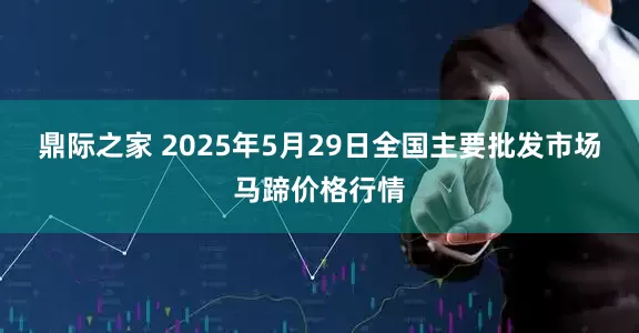 鼎际之家 2025年5月29日全国主要批发市场马蹄价格行情
