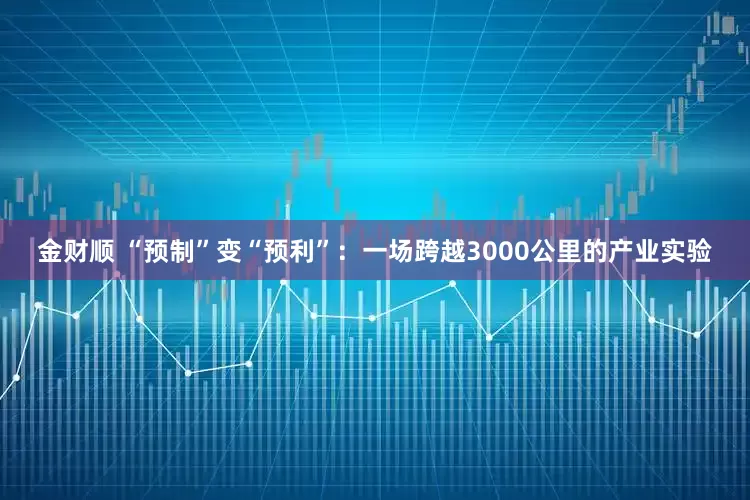 金财顺 “预制”变“预利”：一场跨越3000公里的产业实验