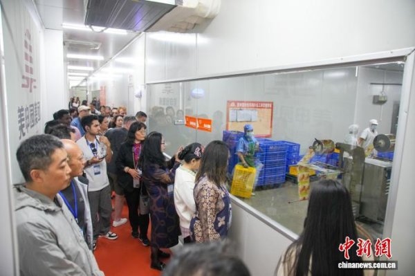 云上速融 深化开放合作 广西“柳江智造”加速出海